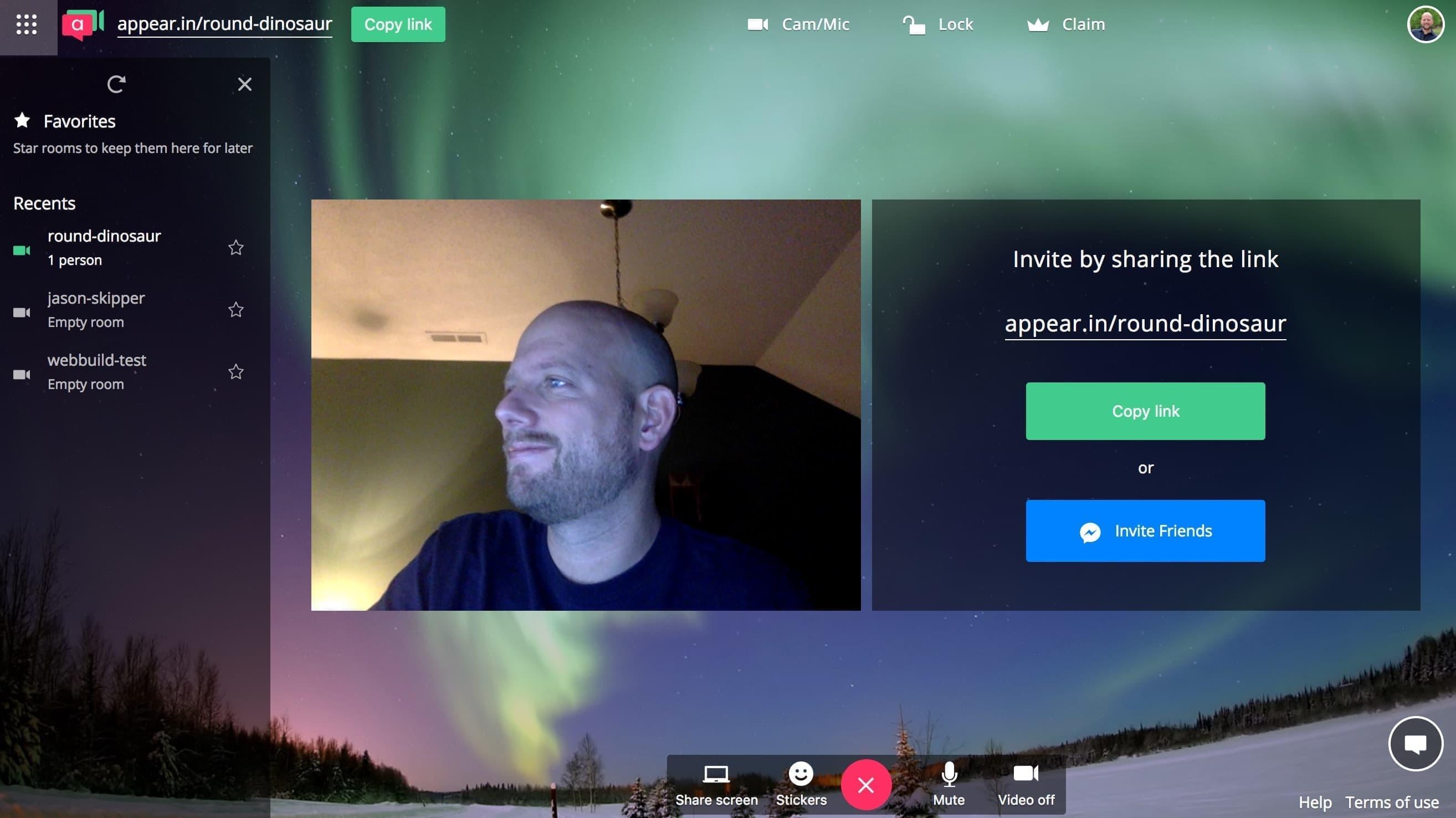 Online meeting platforms overview